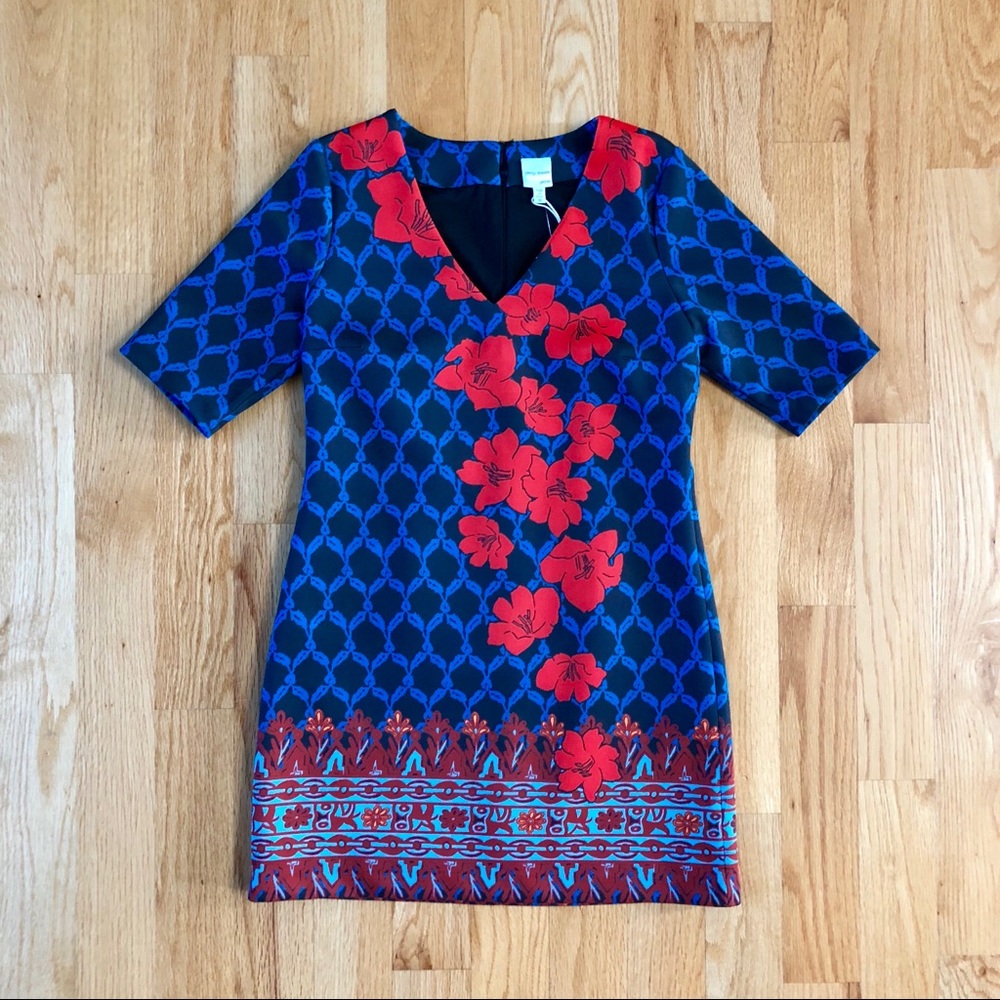 Blue and black with red floral dress